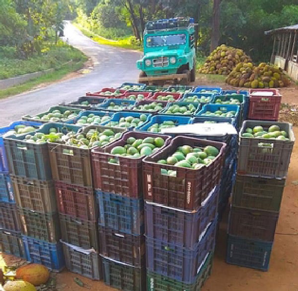 ছবি: জয়ন্তী দেওয়ান