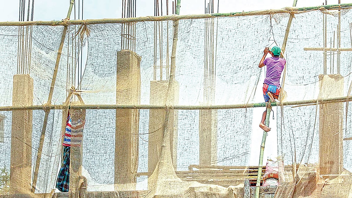 ফাইল ছবি