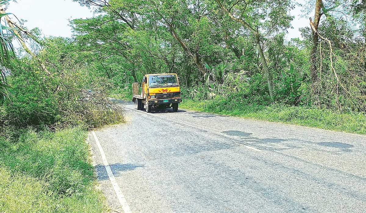 ছবি: প্রথম আলো