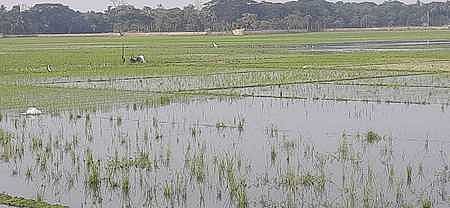 ছবি: প্রথম আলো