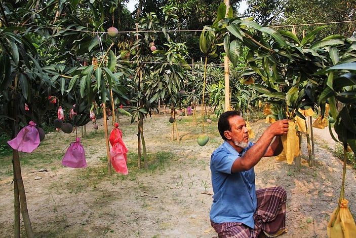 ছবি: প্রথম আলো
