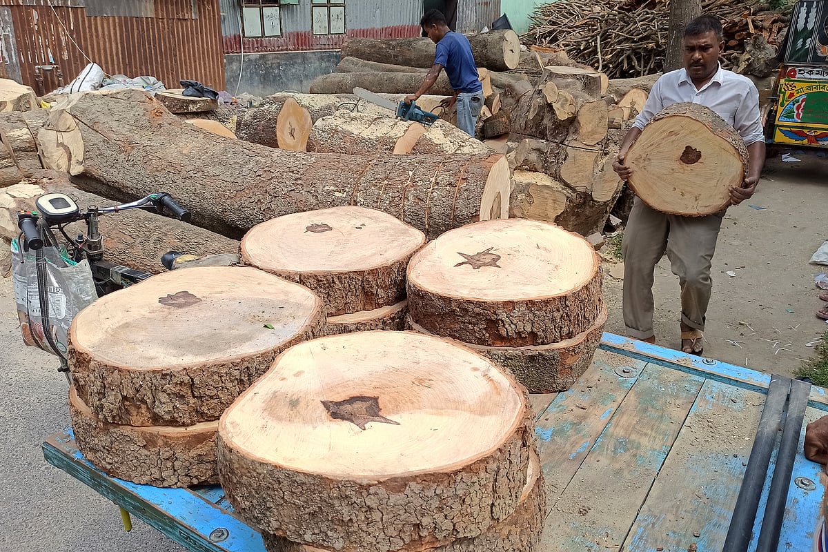 ছবি: হাসান মাহমুদ