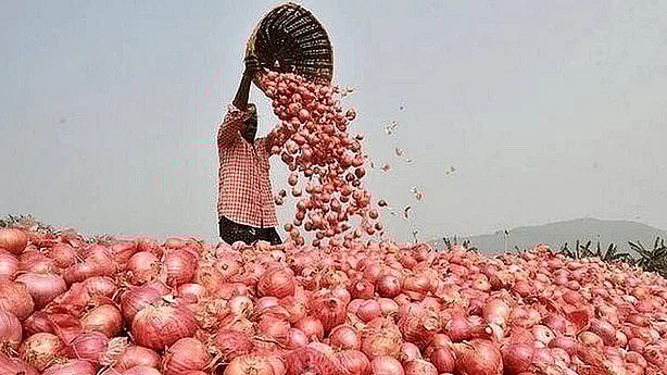 ফাইল ছবি: প্রথম আলো