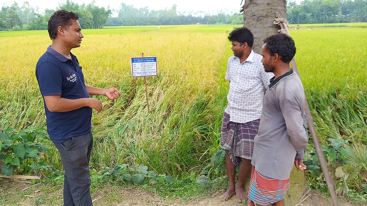 ছবি: প্রথম আলো