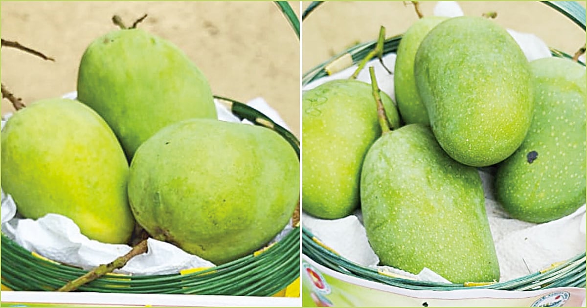 ছবি: প্রথম আলো
