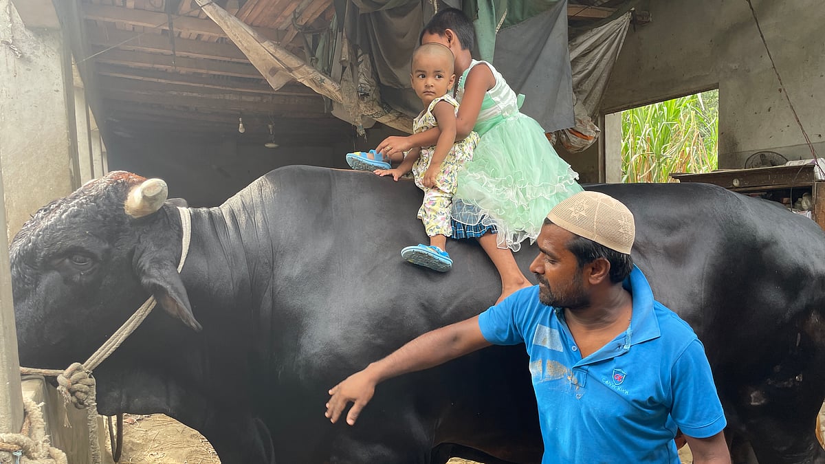 ছবি: প্রথম আলো