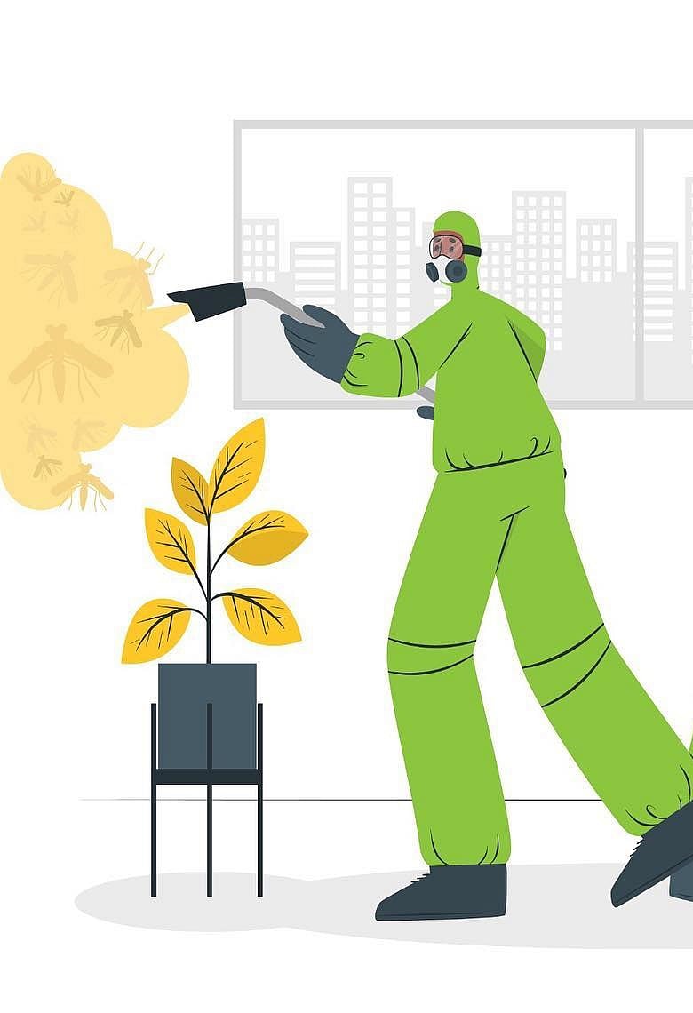 বাসাবাড়িতে কীটনাশক ব্যবহারে যে সতর্কতাগুলো মানতেই হবে