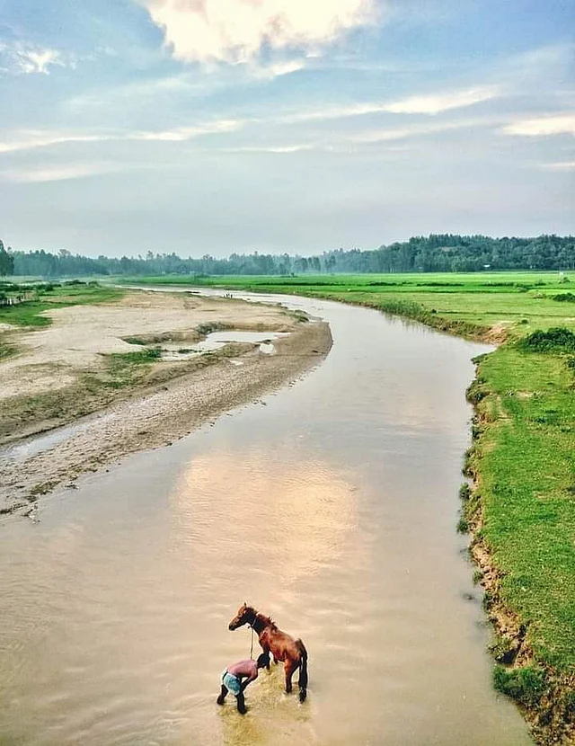 ছবির মতো সুন্দর কর্ণঝোড়া নদীতে ঘোড়াকে গোসল করাচ্ছেন সহিস। এখানে ঘোড়া দিয়ে মাল পরিবহন,  এমনকী হাল চাষও হয়।
