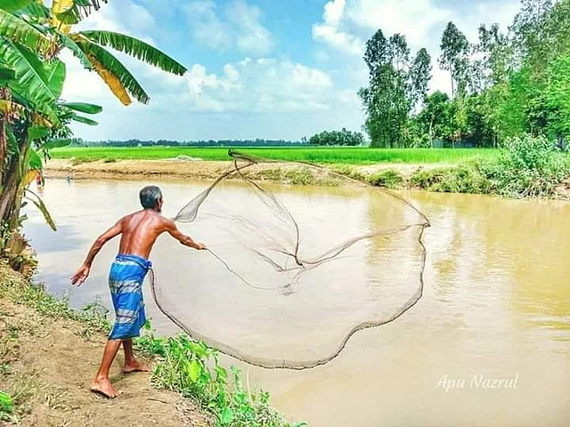 পাগলা নদীতে জাল ফেলছেন জেলে।