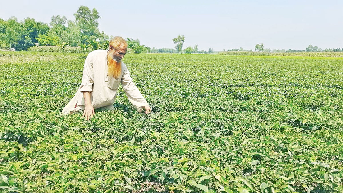 প্রথম আলো