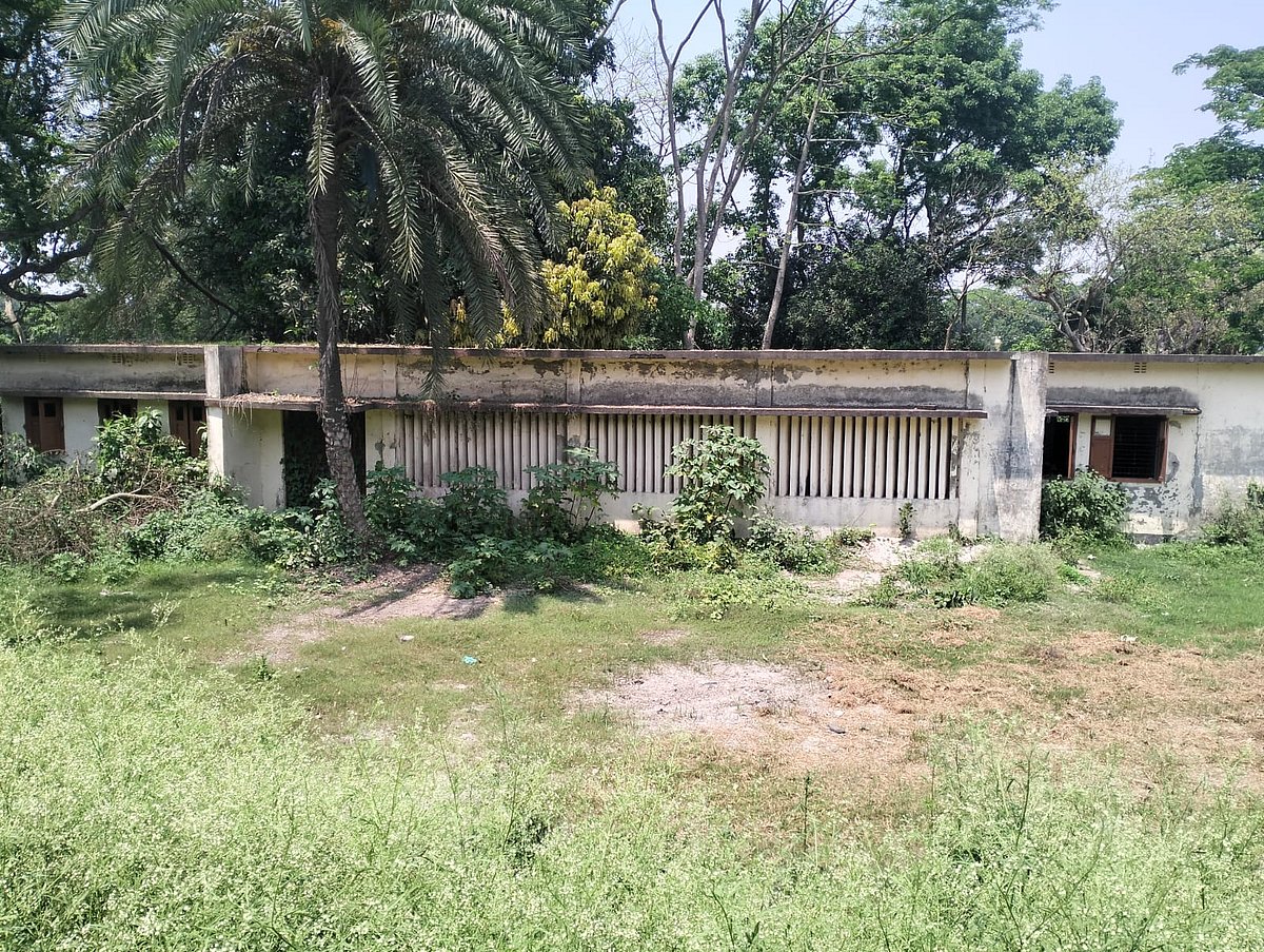 ছবি: প্রথম আলো 