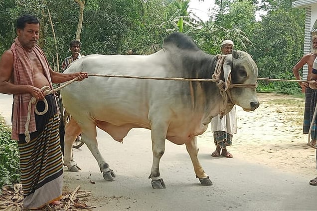 ফাইল ছবি: বাসস