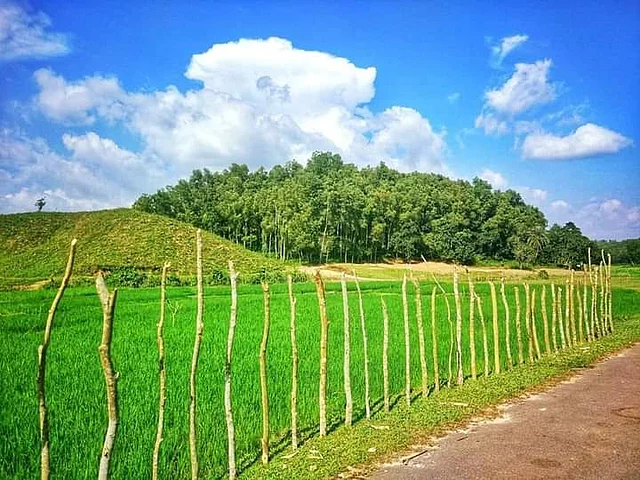 ওল্ড এলিফ্যান্ট রোডের বাঁকে বাঁকে এমনই নজরকাঁড়া প্রাকৃতিক সৌন্দর্য।