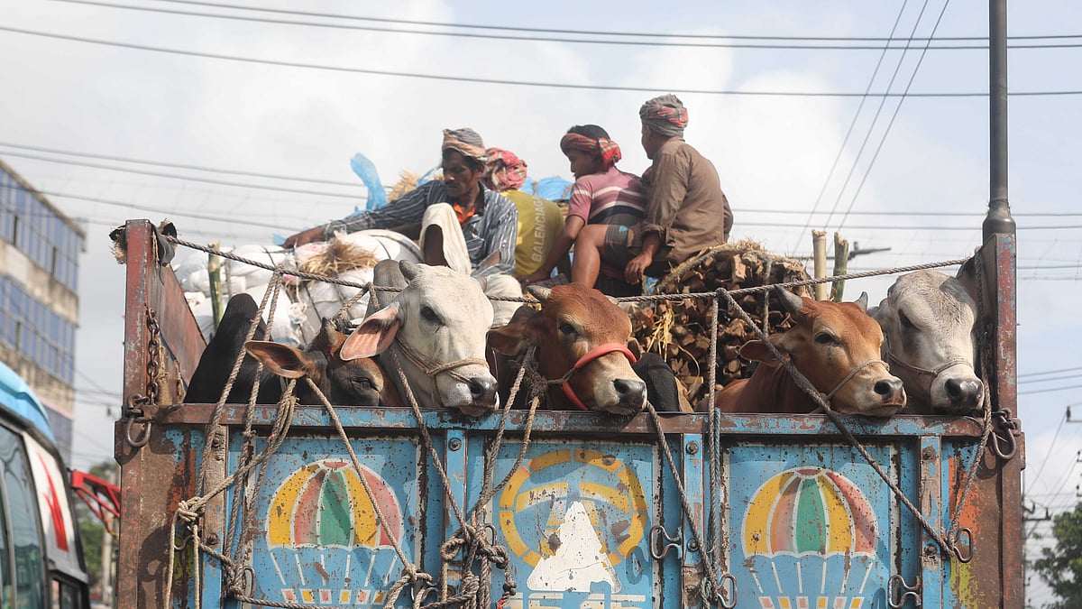ছবি: জুয়েল শীল