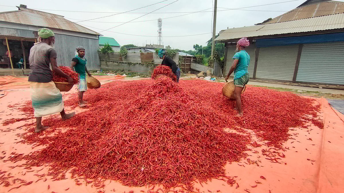 ছবি: প্রথম আলো