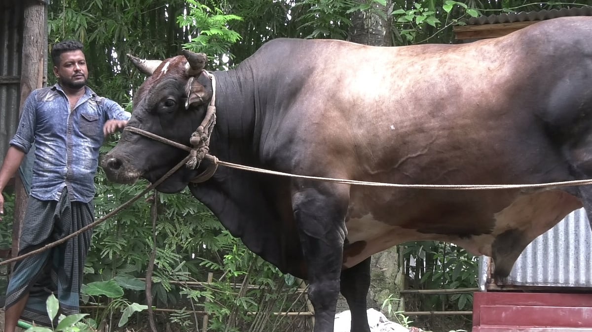 ছবি: প্রথম আলো