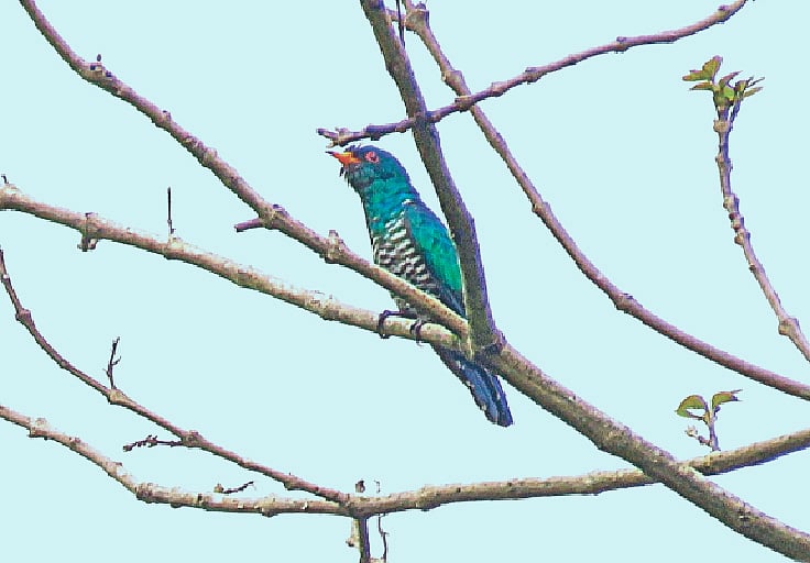 ছবি: লেখক