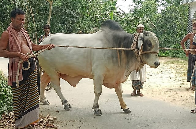 ছবি: বাসস