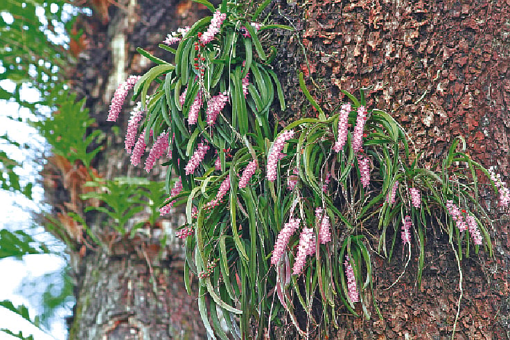 ছবি: লেখক