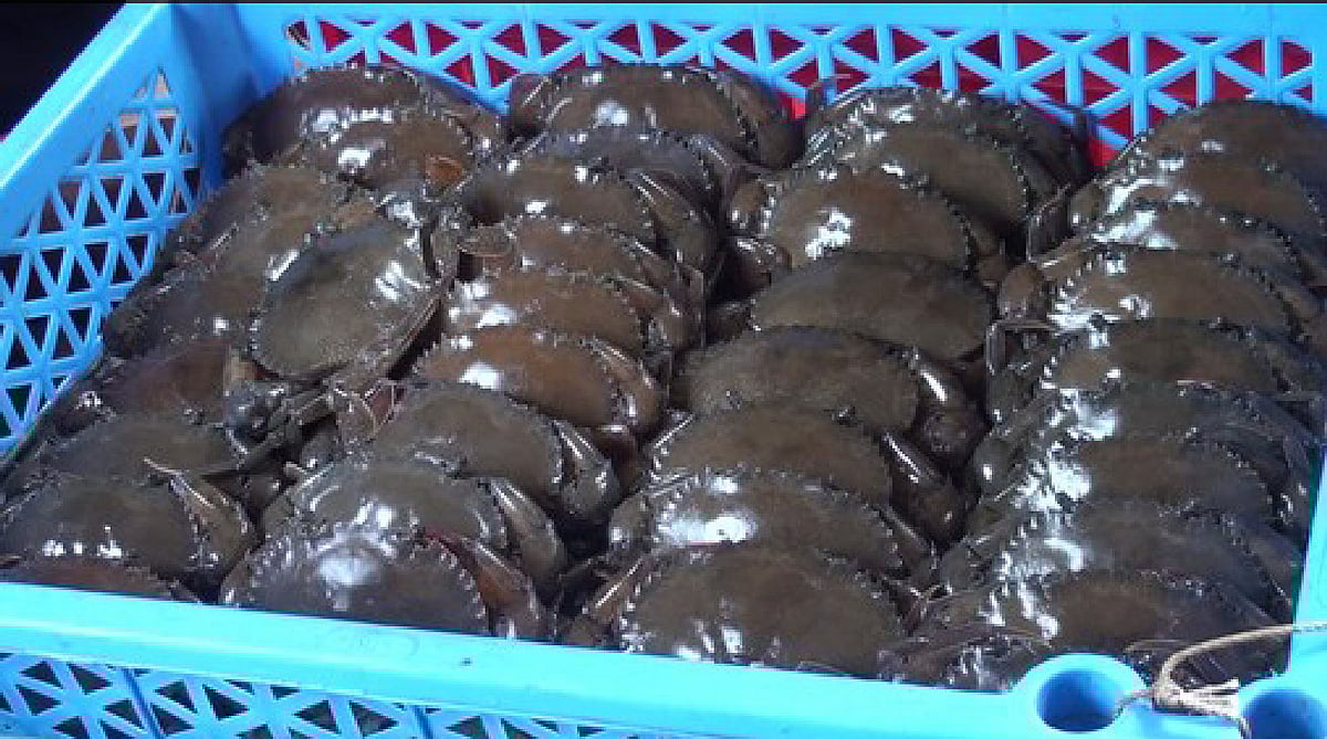 ছবি: প্রথম আলো 