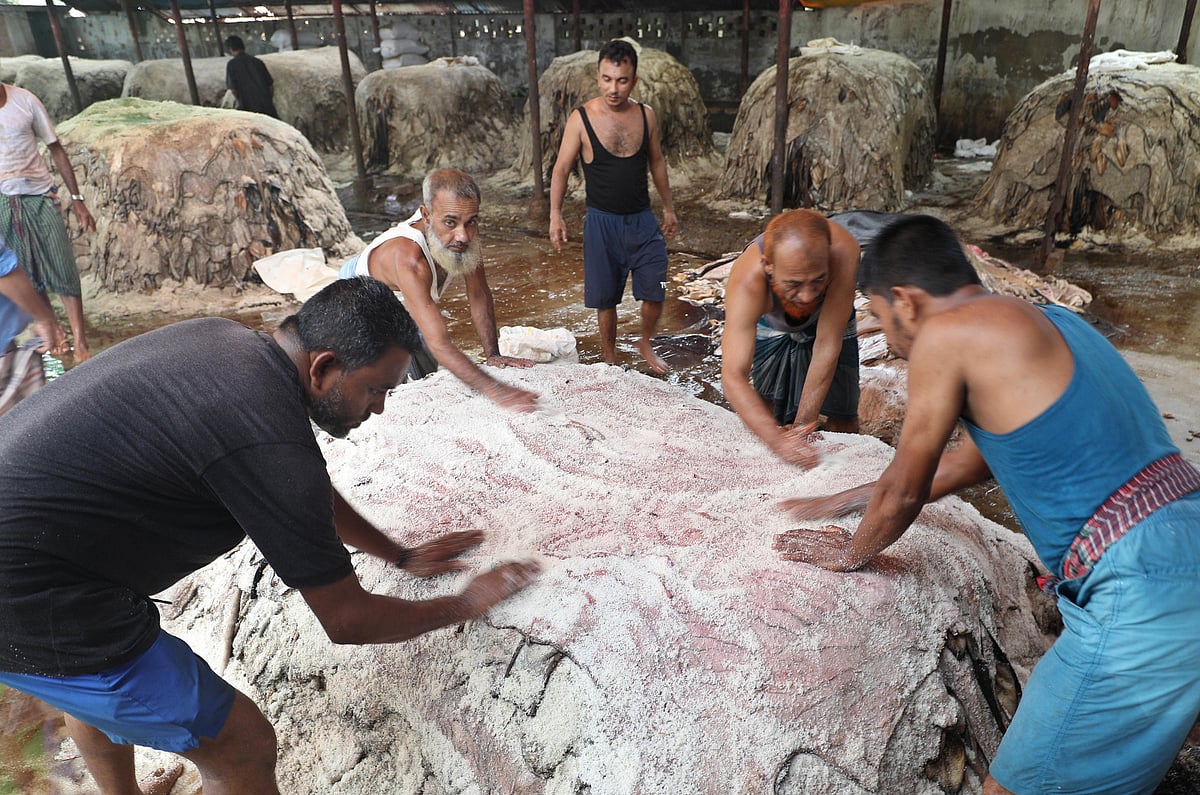 সংগ্রহ করা কোরবানির পশুর চামড়া সংরক্ষণের কাজে ব্যস্ত শ্রমিকেরা