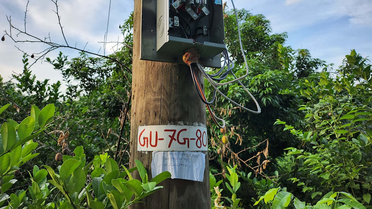 ছবি: প্রথম আলো