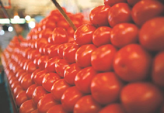 প্রতীকী ছবি  রয়টার্স