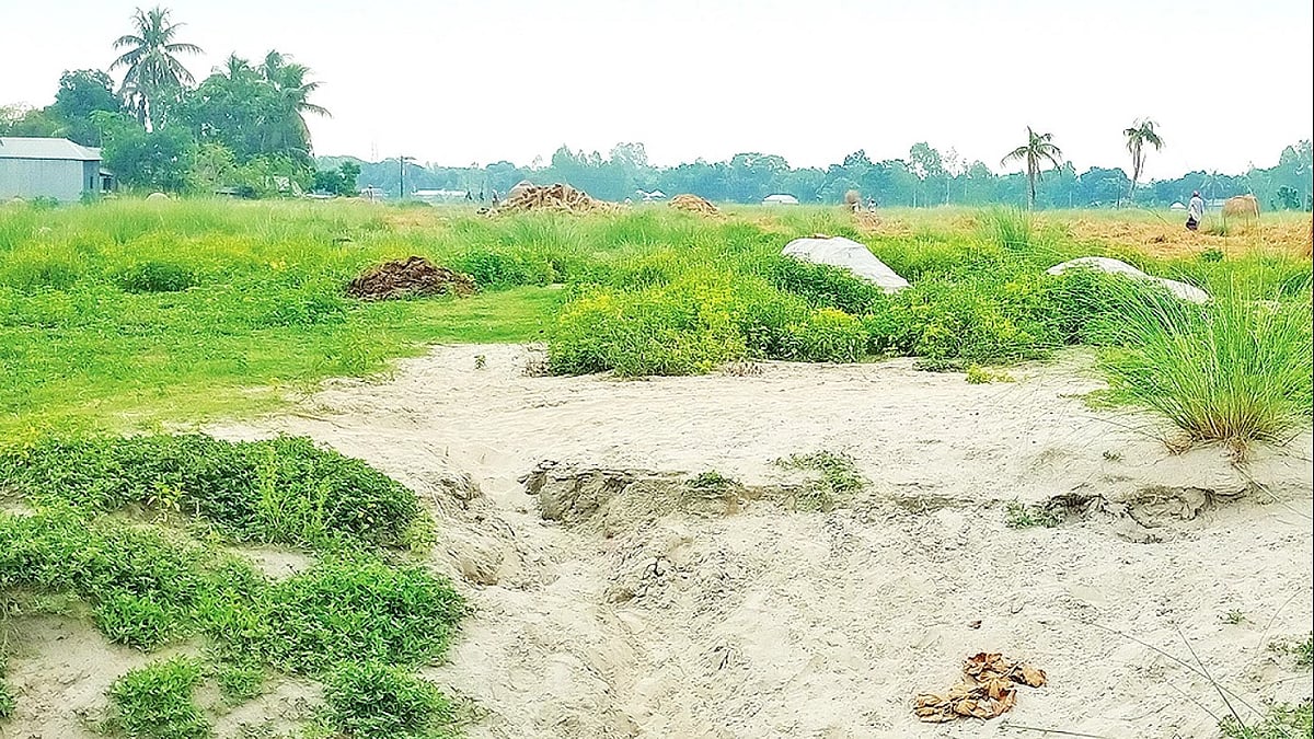 ছবি: প্রথম আলো