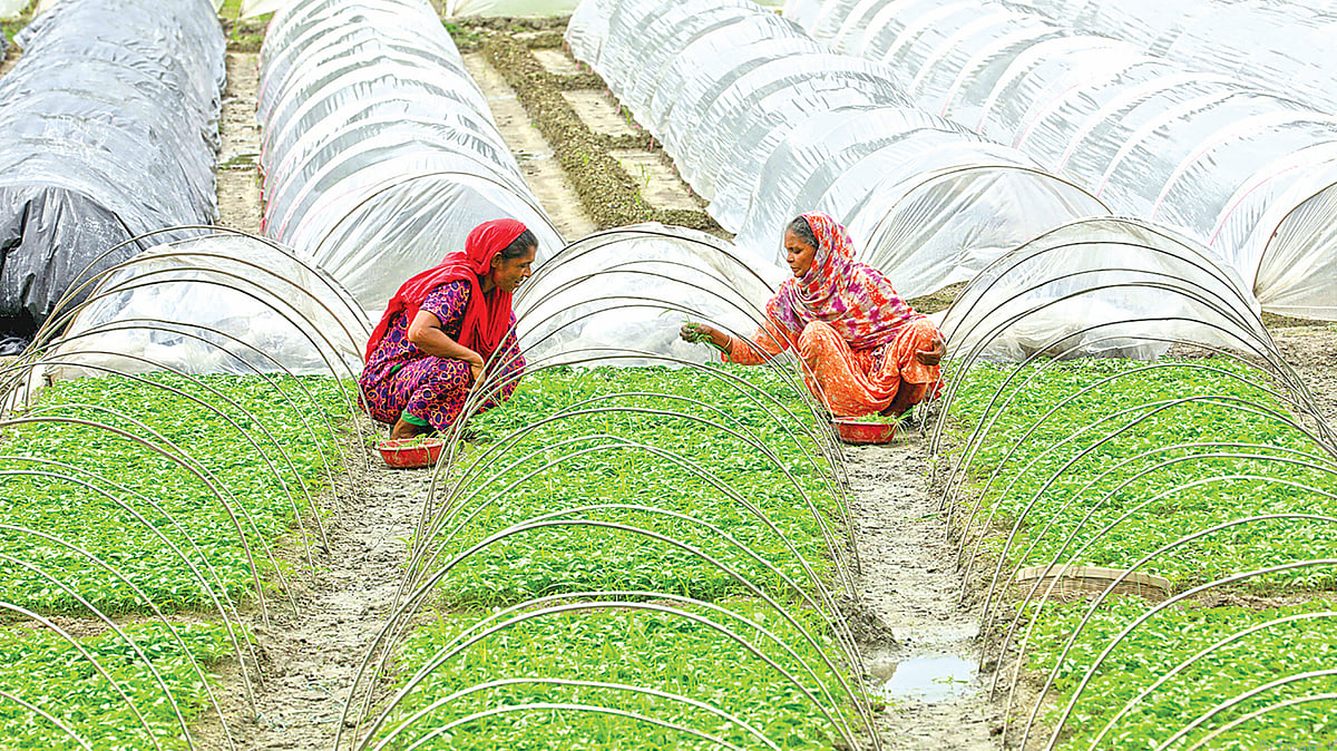 ছবি: সোয়েল রানা