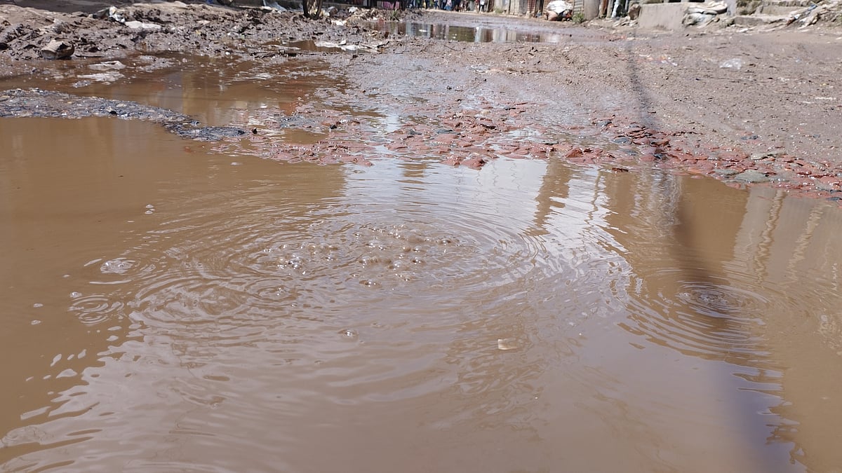 ছবি: প্রথম আলো