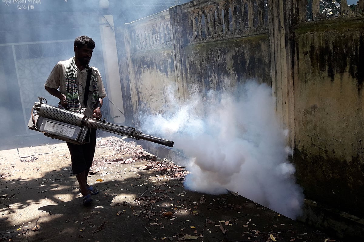 ছবি: প্রথম আলো 