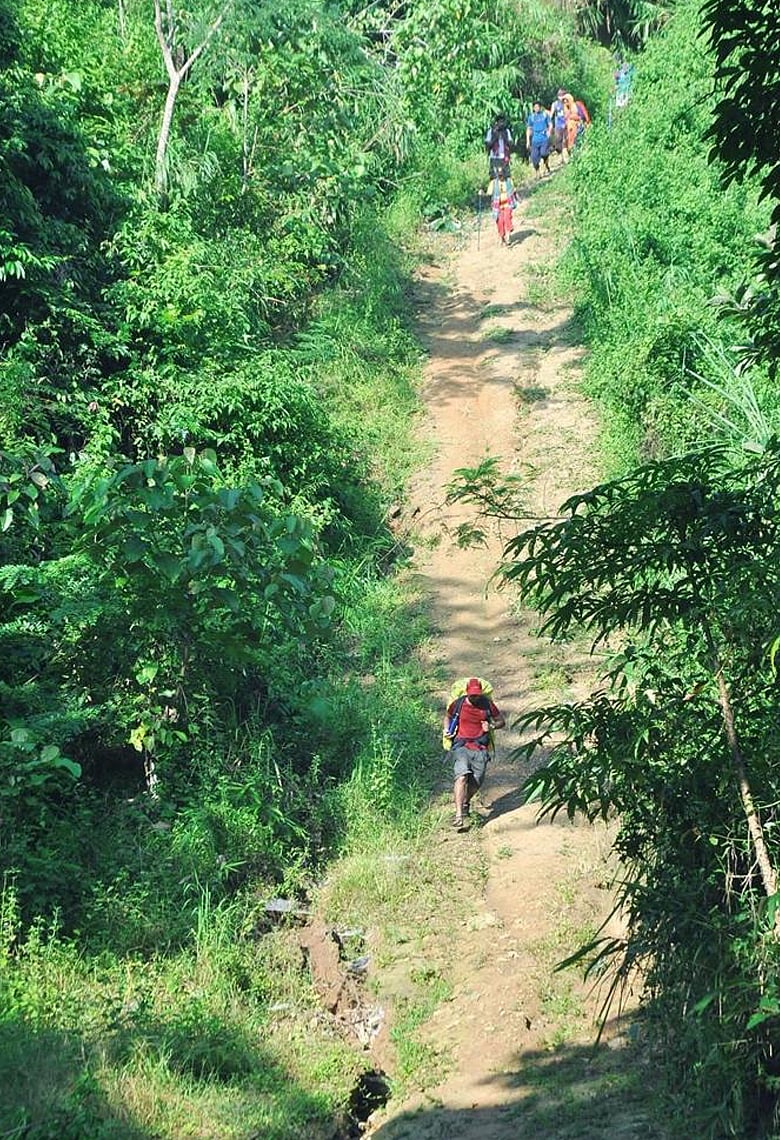 জীবনীশক্তি বাড়াতে ঘুরে বেড়ান বন ও পাহাড়ে   