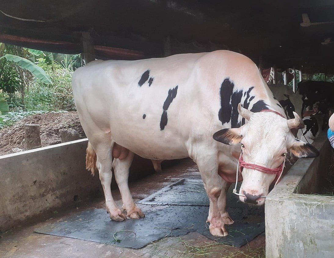 ছবি: প্রথম আলো