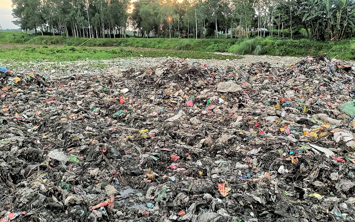 ছবি: প্রথম আলো 