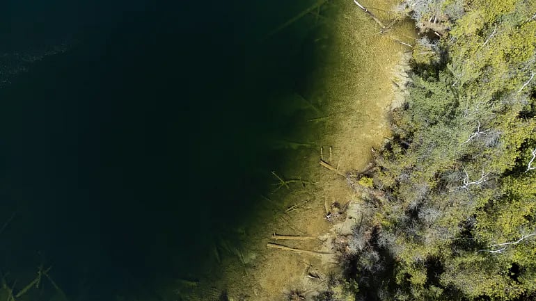 ছবি: এএফপি ফাইল ছবি