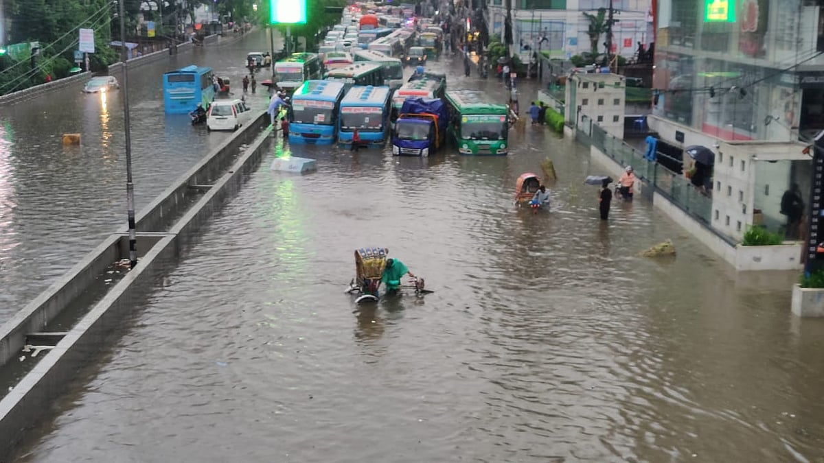 ছবি : সাজিদ হোসেন