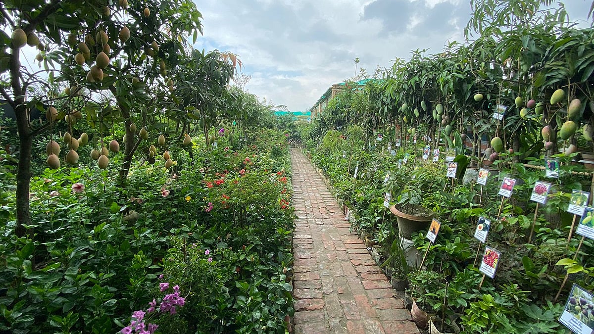 ছবি: লিপি রানী সাহা