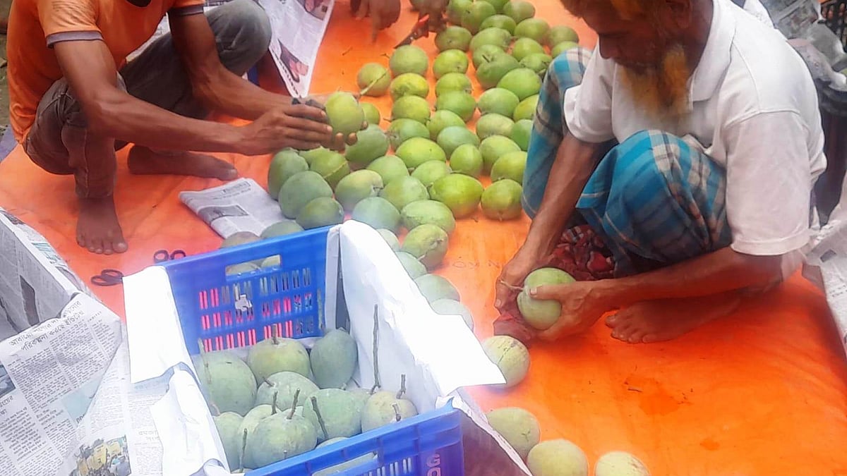 ছ‌বি: প্রথম আলো