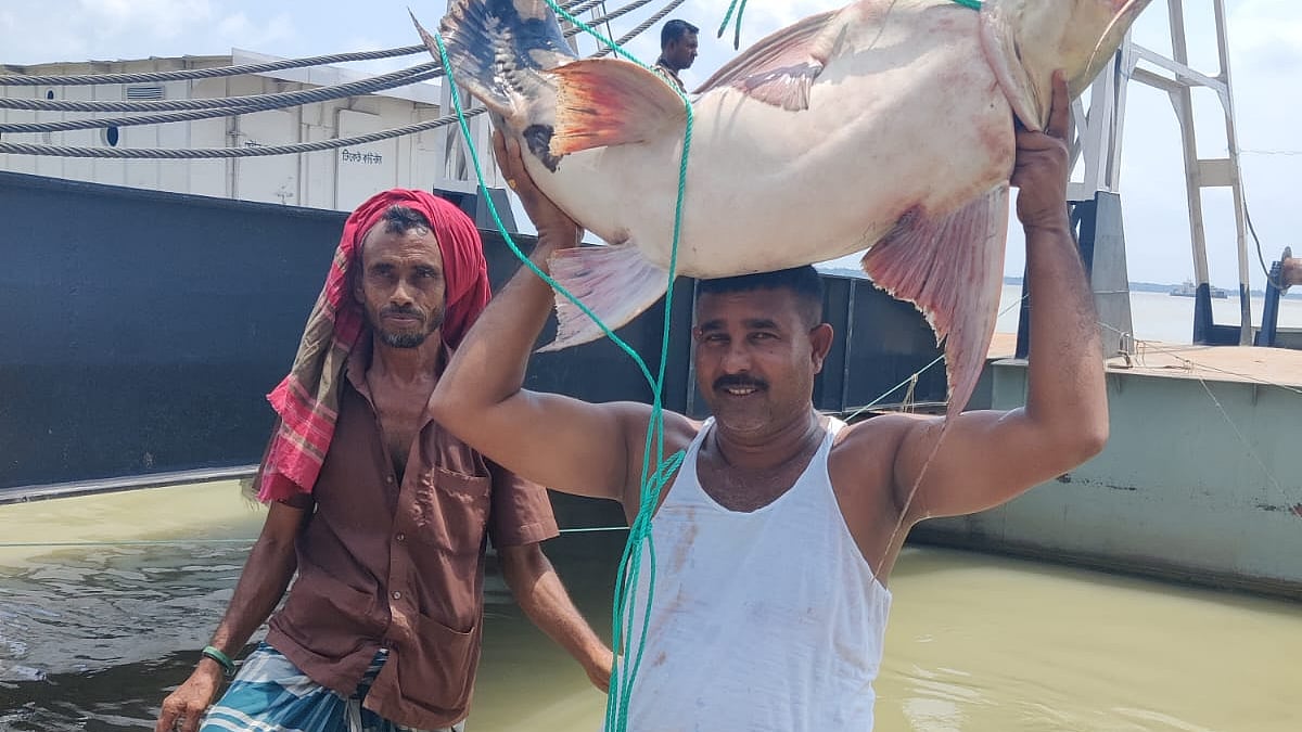 ছবি: প্রথম আলো