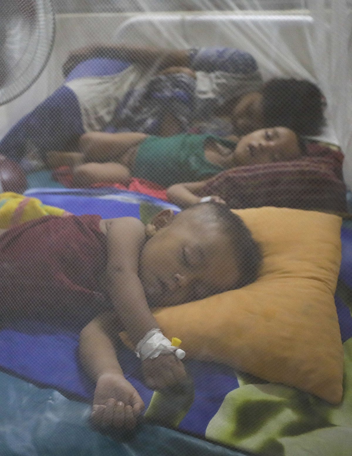 ছবি: সৌরভ দাশ