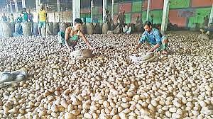 প্রথম আলো