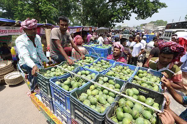 ছবি: প্রথম আলো