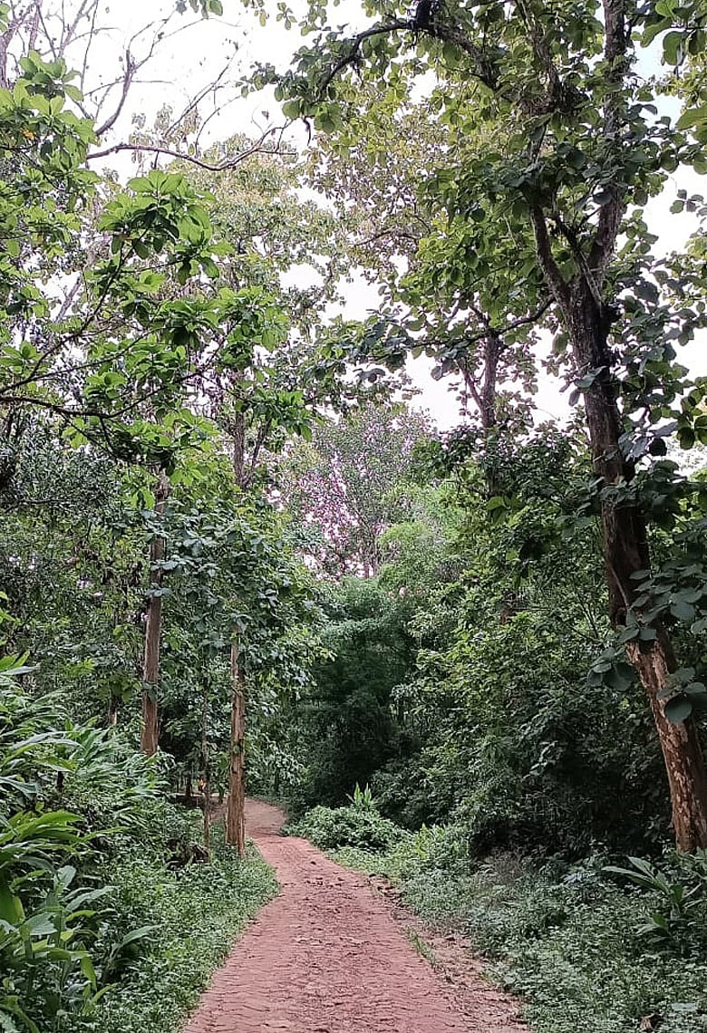 যেখানে হয় প্রাণের সঞ্চার