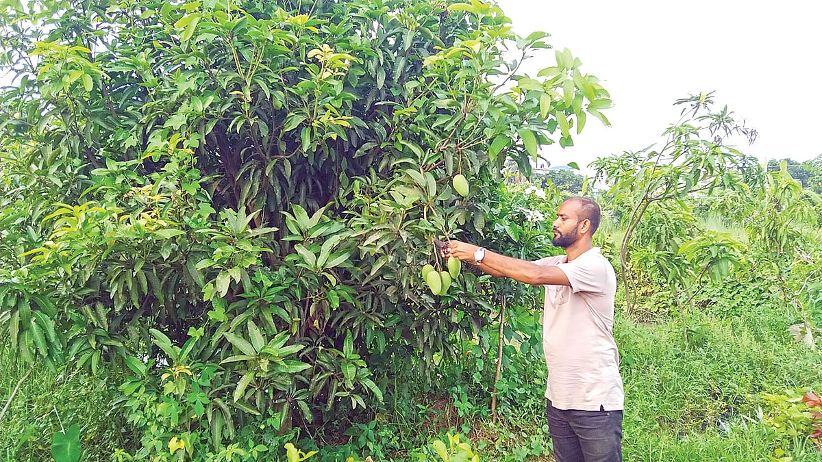 ছবি: প্রথম আলো