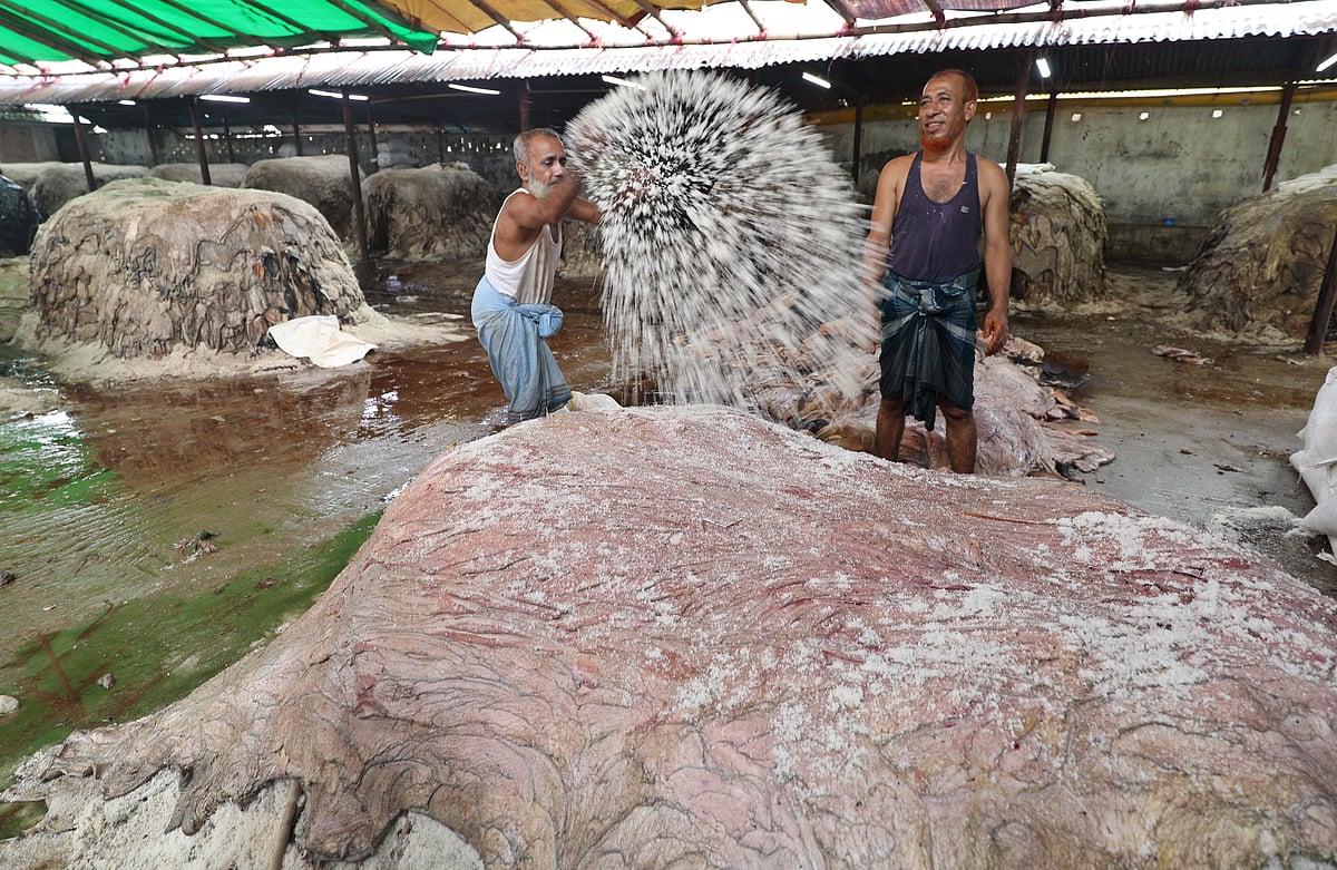 ফাইল ছবি