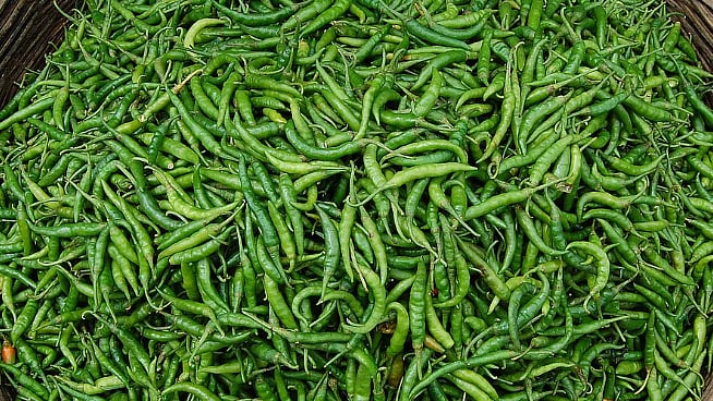 প্রথম আলো ফাইল ছবি 