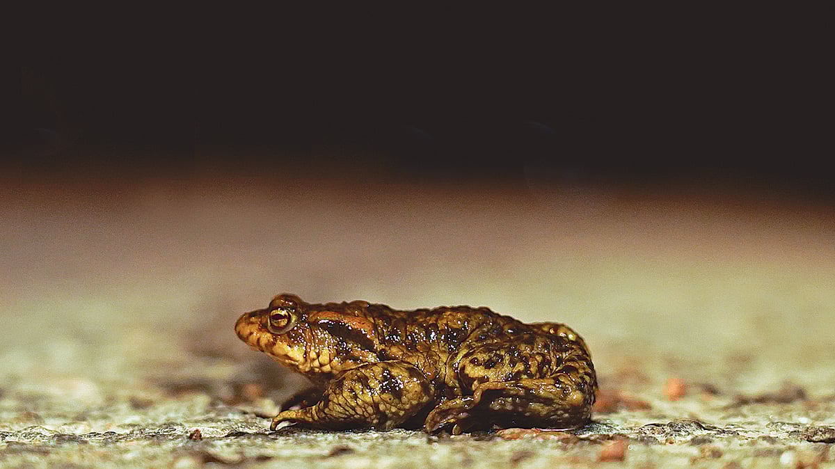 ফাইল ছবি রয়টার্স