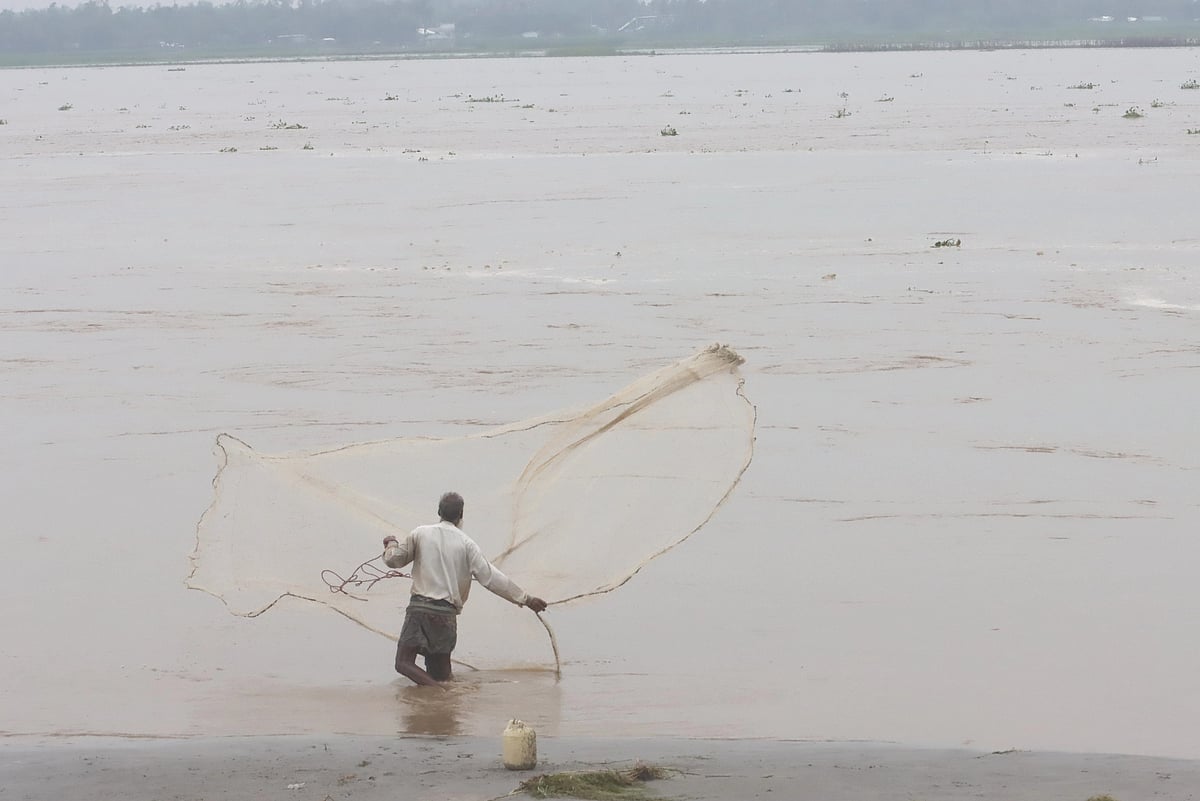 ফাইল ছবি: মঈনুল ইসলাম