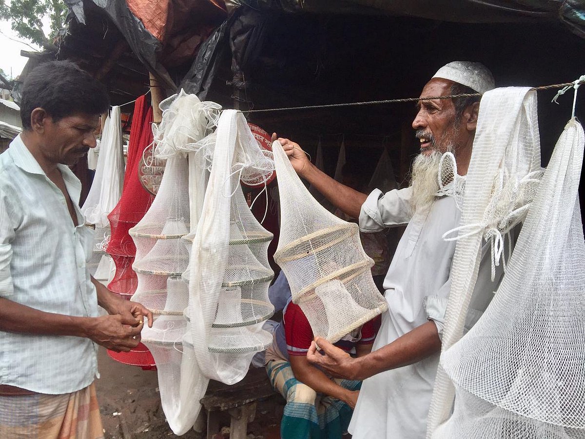 ছবি: প্রথম আলো