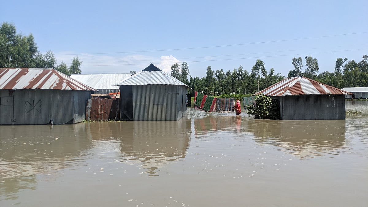 ফাইল ছবি: প্রথম আলো